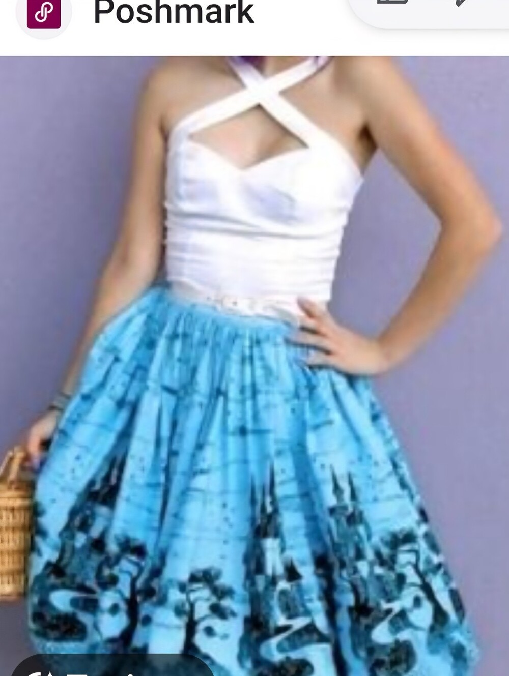 Pinup Couture PUG Blue Castle Circle Jenny Skirt Discontinued in 2016 Size 4X